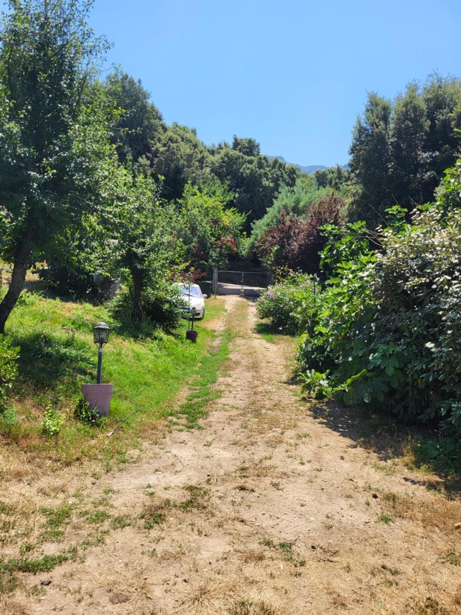 A La Campagne Ucciani